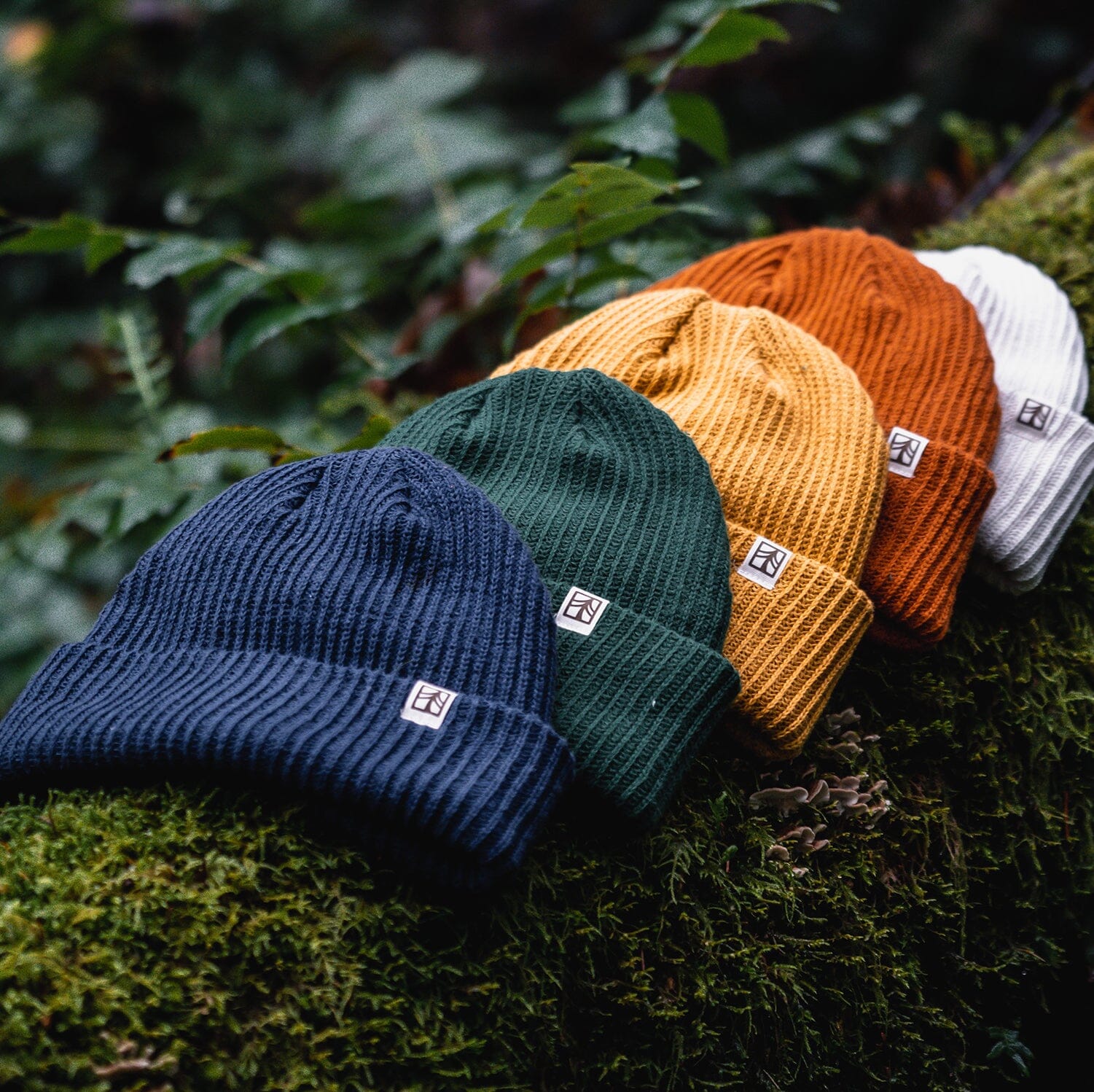 Beanies – Rustek