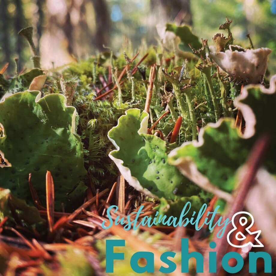 Sustainability in the Fashion Industry