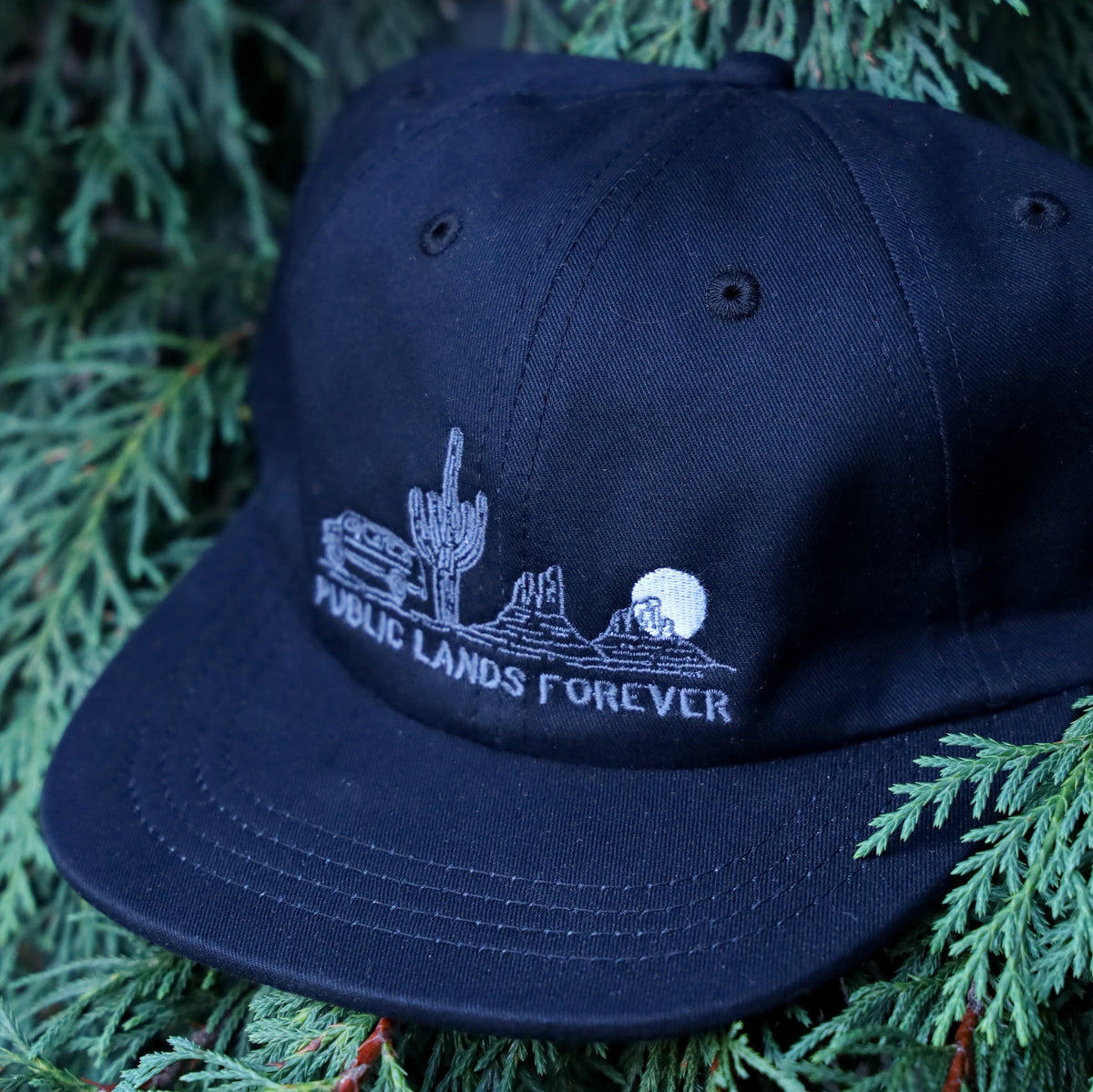 Public Lands Forever 100% Organic Cotton Dad Hat | Black