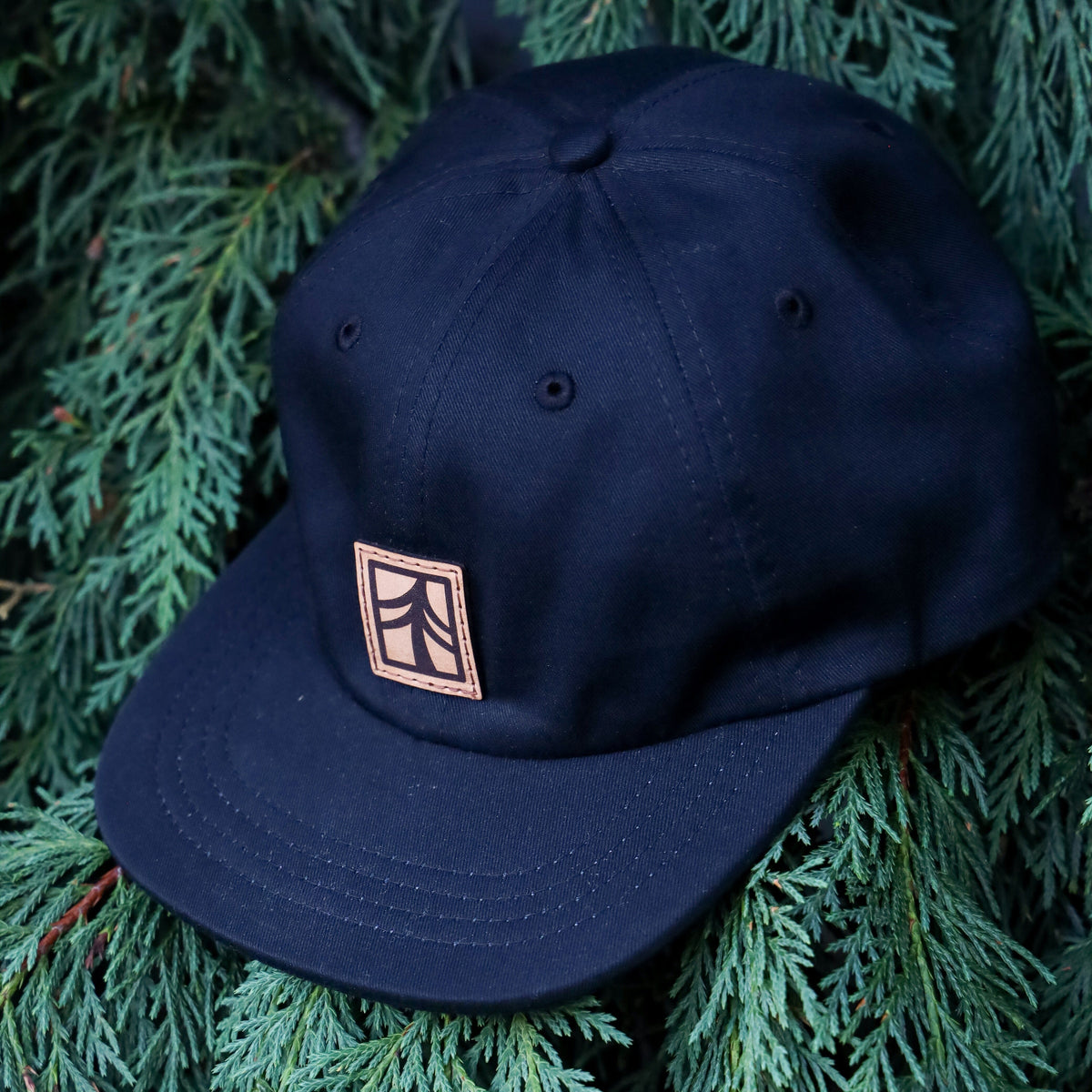 Rustek 100% Organic Cotton Dad Hat | Black