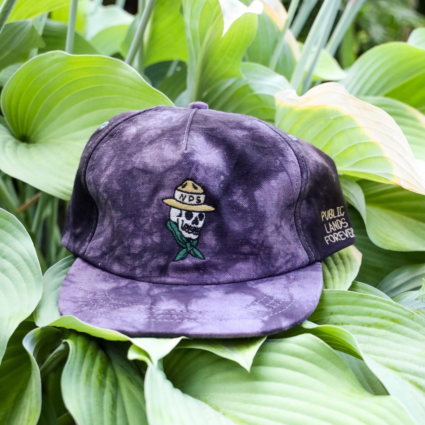 Public Lands Forever Shibori Strapback | Charcoal/Black